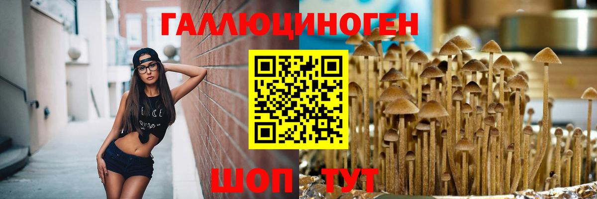 А ПВП СК   Вход с VPN  МДМА  Зеленокумск  ГАШ  Купить наркоту  НБОМе  Мефедрон   Вейп ТГК 